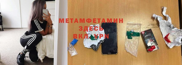 сатива Гусь-Хрустальный