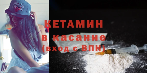 сатива Гусь-Хрустальный