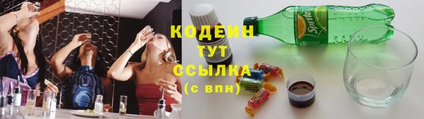 тгк Гусев