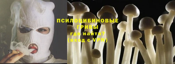 тгк Гусев