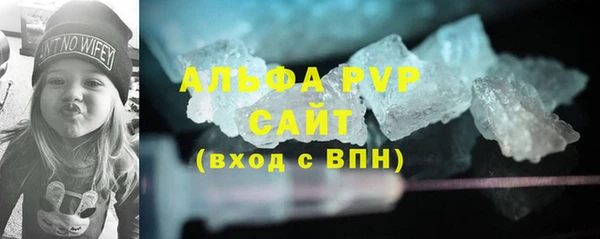 сатива Гусь-Хрустальный
