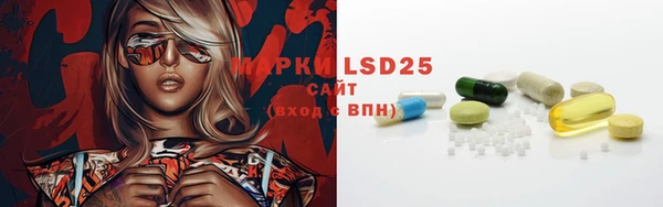PSILOCYBIN Гусиноозёрск