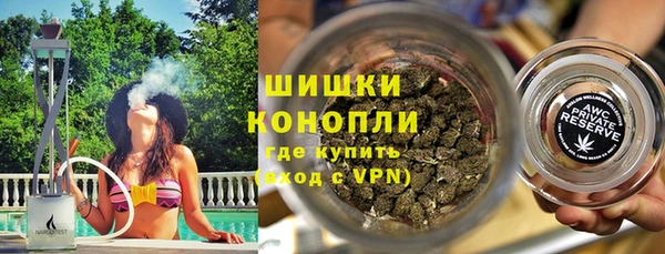 сатива Гусь-Хрустальный