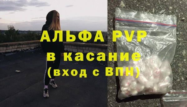 тгк Гусев