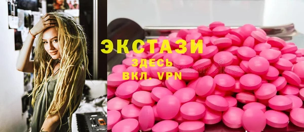 тгк Гусев