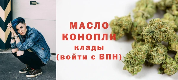 тгк Гусев