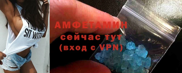 сатива Гусь-Хрустальный