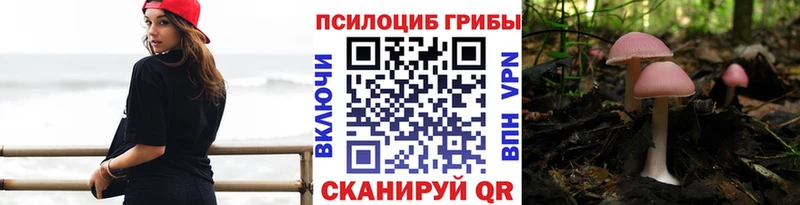 закладка это как зайти Псилоцибиновые грибы ЛСД Гурьевск