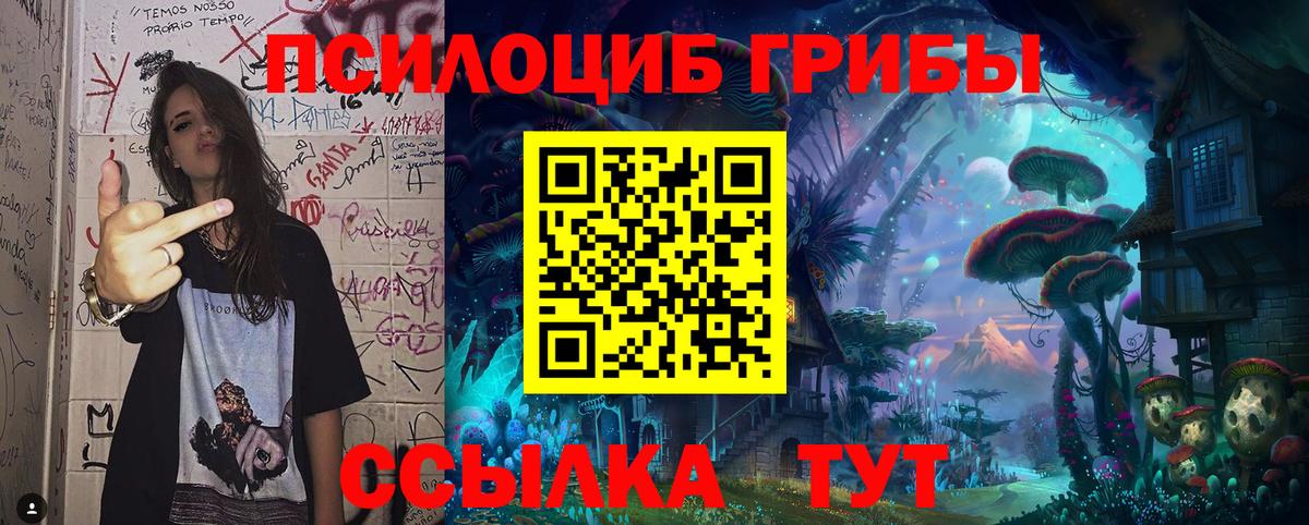 Псилоцибиновые грибы GOLDEN TEACHER Гурьевск