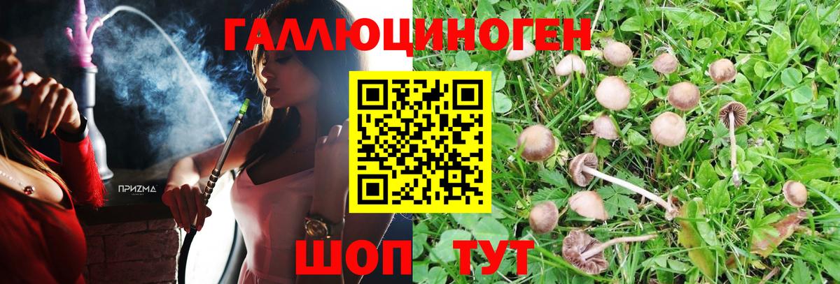Псилоцибиновые грибы MAGIC MUSHROOMS  Гурьевск  Галлюциногенные грибы Magic Shrooms 