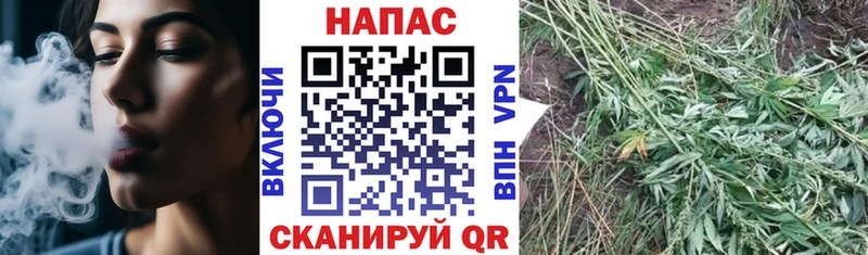 Марихуана конопля  Гурьевск 